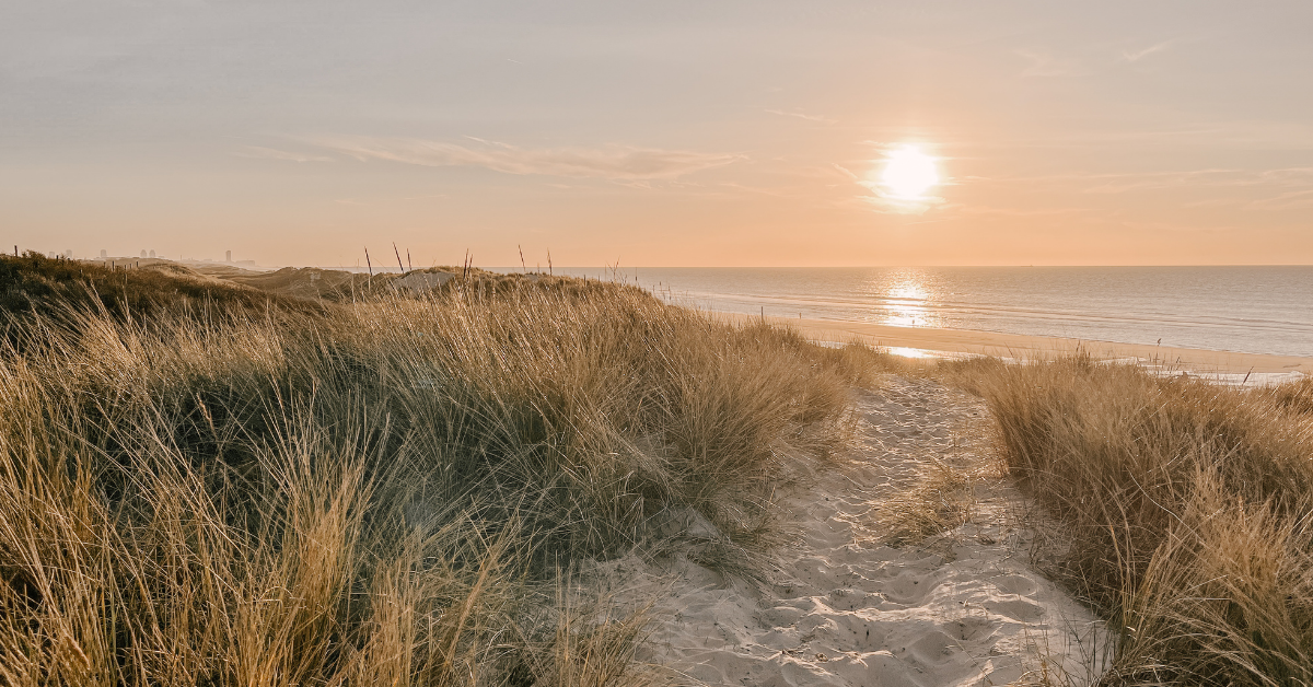 A sandy path through coastal dunes towards the sea at sunrise.